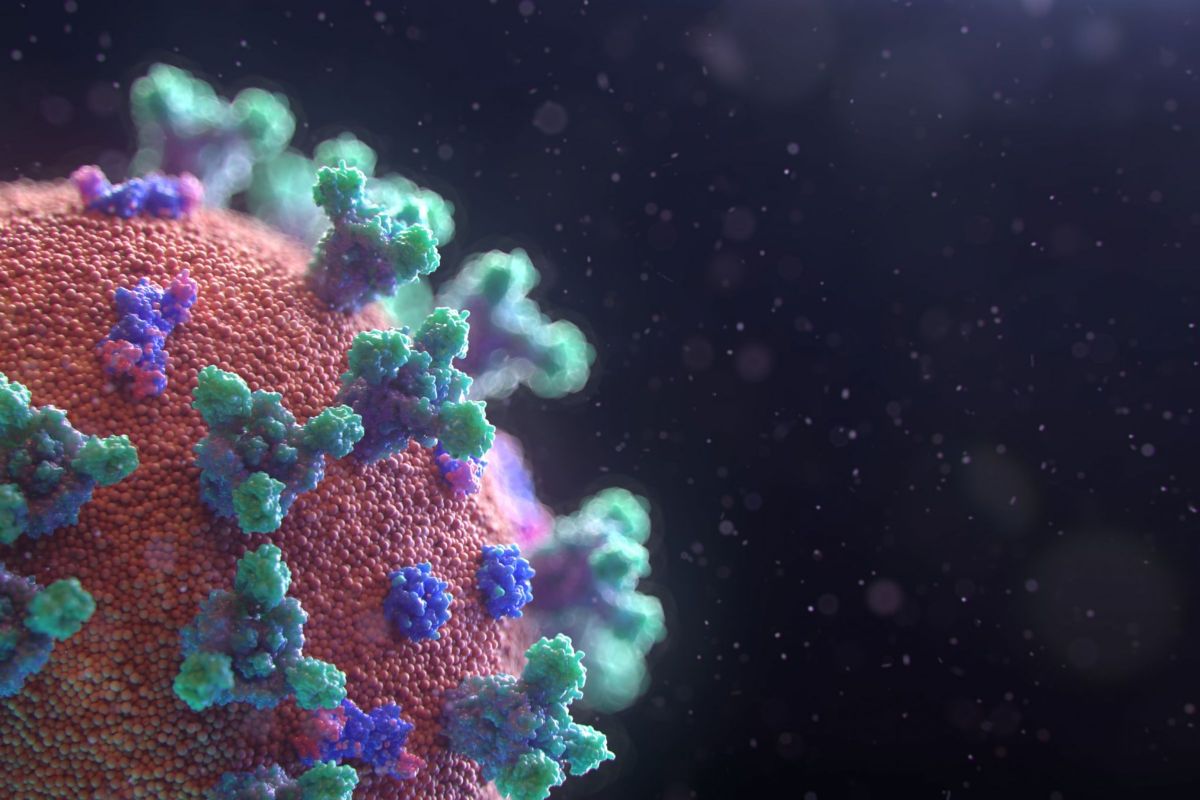 fusion medical animation eaggqoiddm